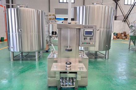 Single Head Keg Washer