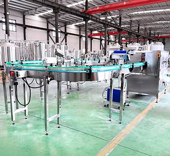 Can Conveyor System