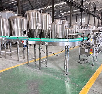Bottle Conveyor System